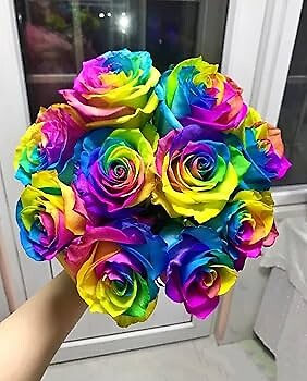 Rainbow Roses