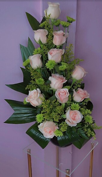 1 dozen Roses Soft Girl Era